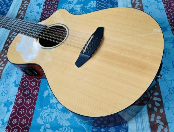 Guitare acoustique 12 cordes Breedlove Passeport n°1419002 (Korea), housse Guardian, réglée luthier Amal (04.02.25) – Image 2